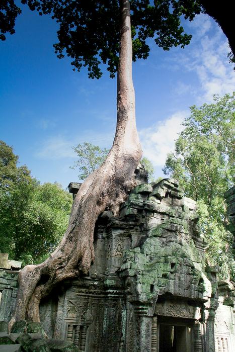 Cambodia — Angkor Wat