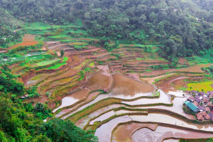 Philippines — Banaue Rice Terraces