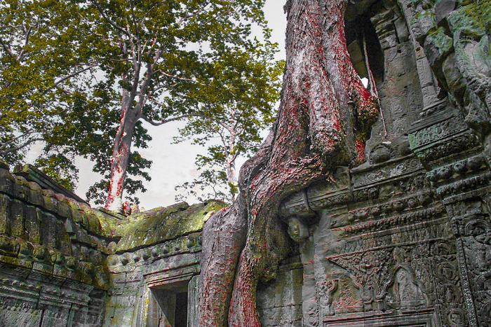 Cambodia — Angkor Wat