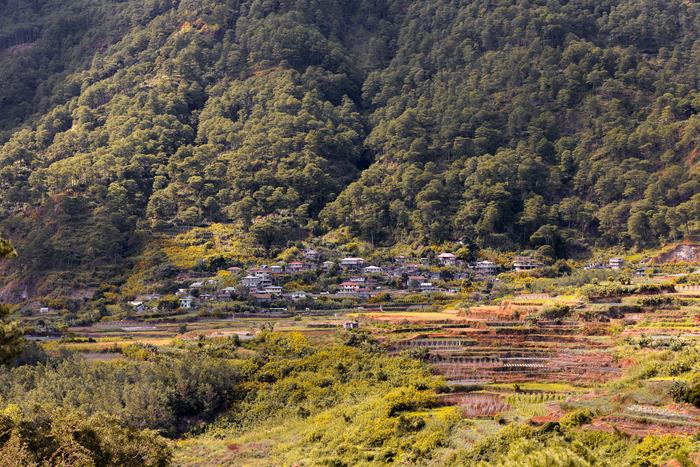Philippines — Banaue Rice Terraces
