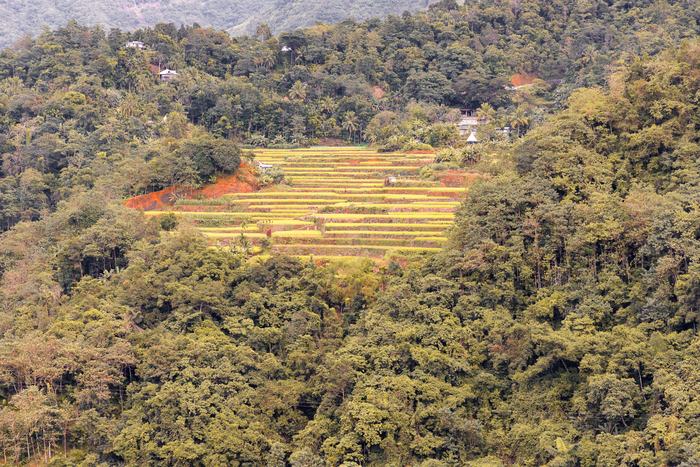 Philippines — Banaue Rice Terraces