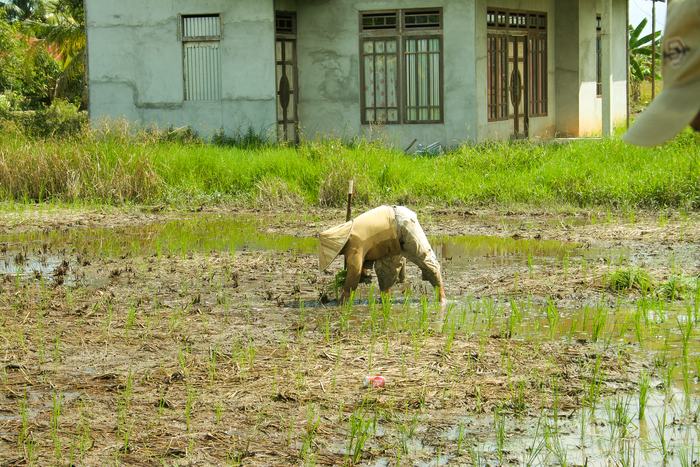 Indonesia — People and Food