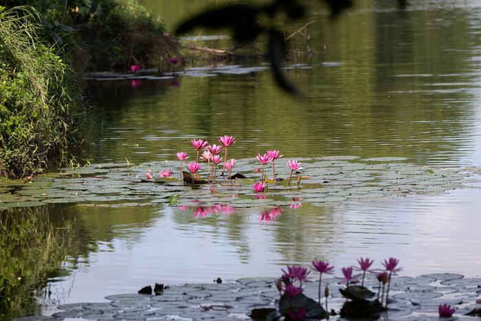 Philippines — Manila Greenspace