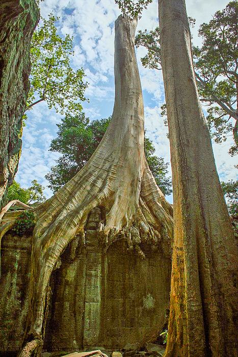 Cambodia — Angkor Wat