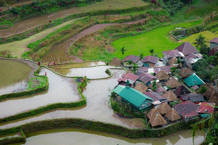Philippines — Banaue Rice Terraces
