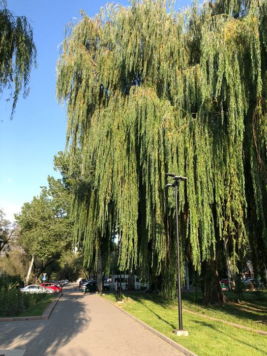 Kyrgyz Republic — Around Bishkek