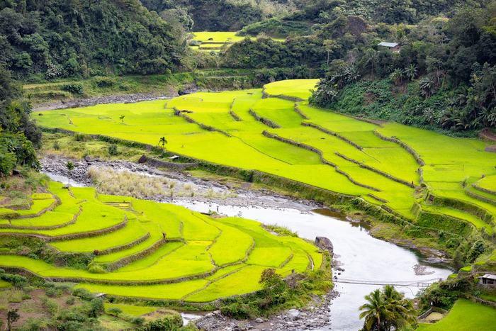 Philippines — Banaue Rice Terraces