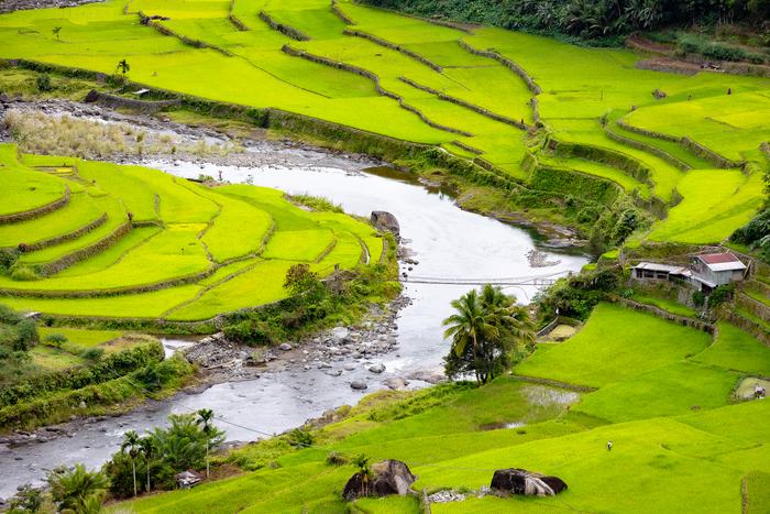 Philippines — Banaue Rice Terraces