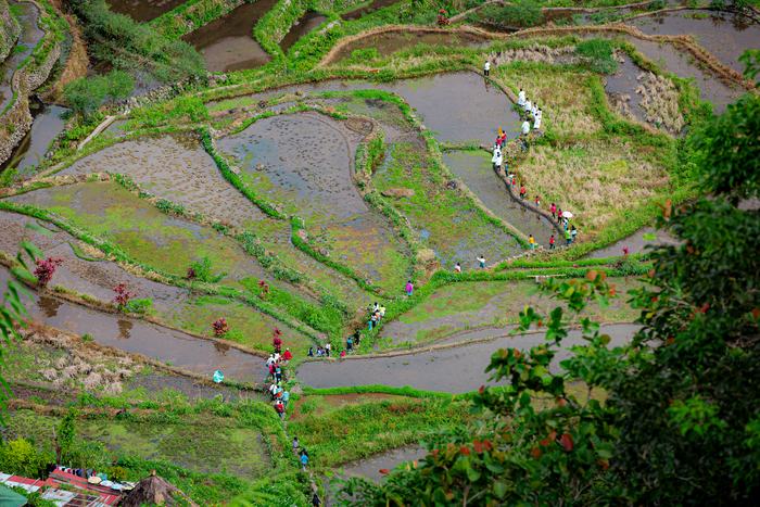 Philippines — Banaue Rice Terraces