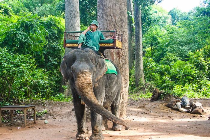 Cambodia — Angkor Wat