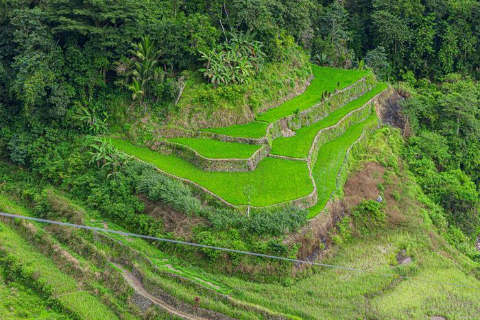 Philippines — Banaue Rice Terraces