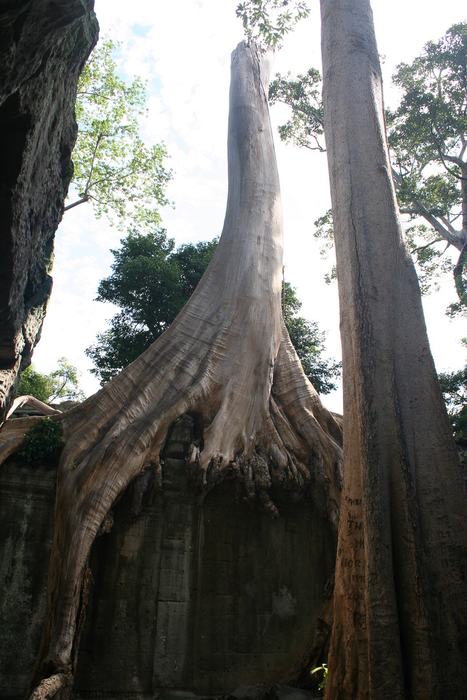 Cambodia — Angkor Wat